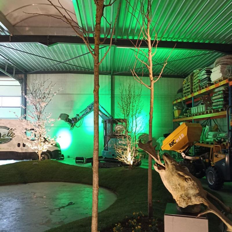 Tuinontwerp · Tuinaanleg · Zwem-Visvijvers · Verhardingen · Afsluitingen · Grondwerken · Onderhoud · Vellen van bomen. 