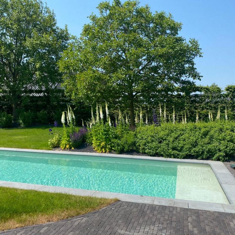 aanleg zwembad tuin 